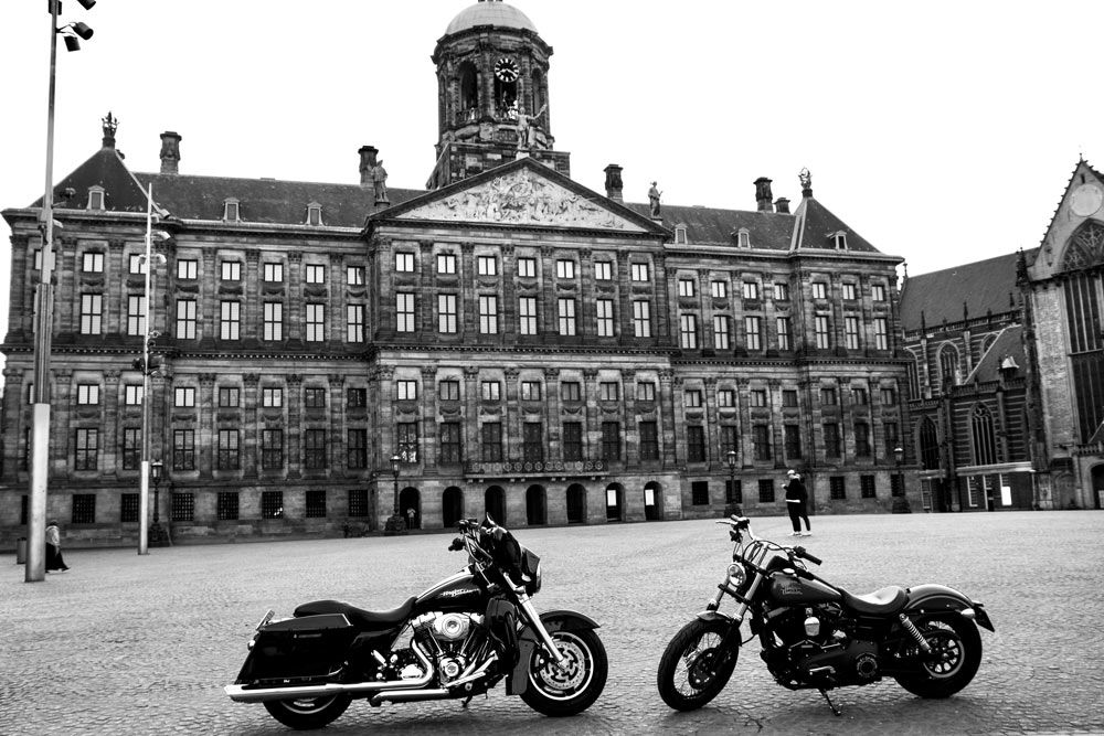 Royal Harleys — Jacobien Bosch