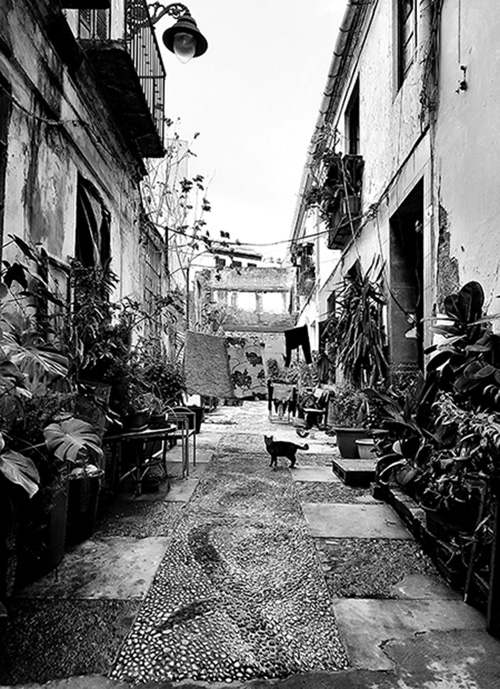 Street vieuw  Gato de Ollerias — Nadia Salas Aluz