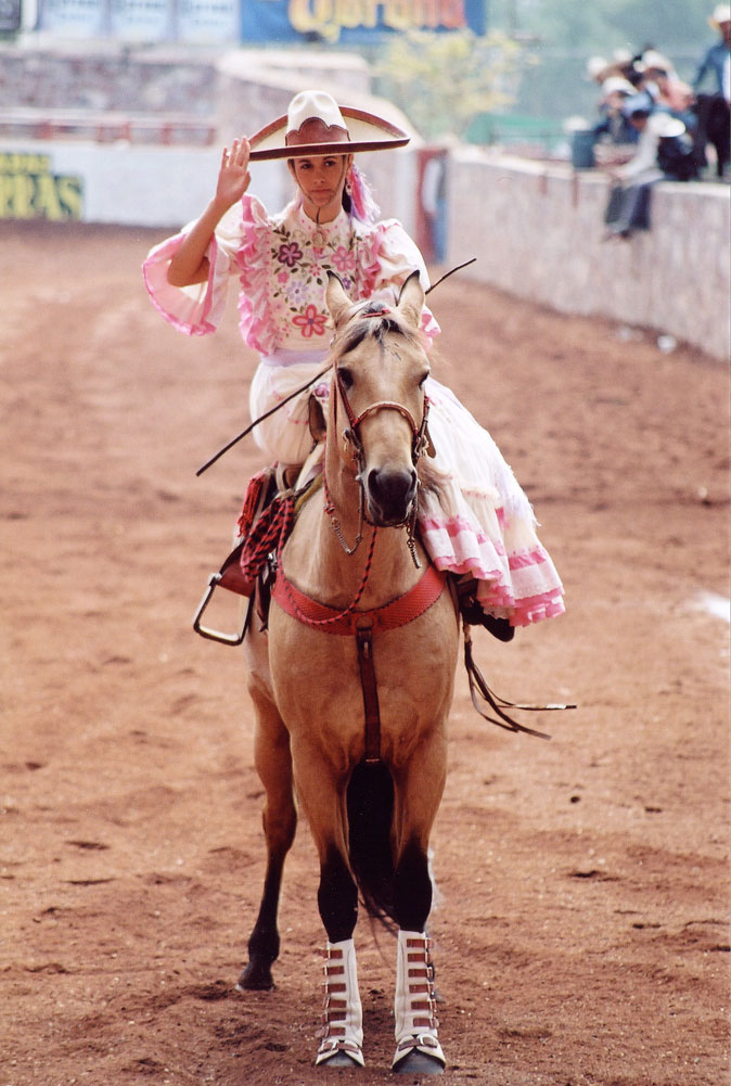 Mexican Elegance — Pauline Prior