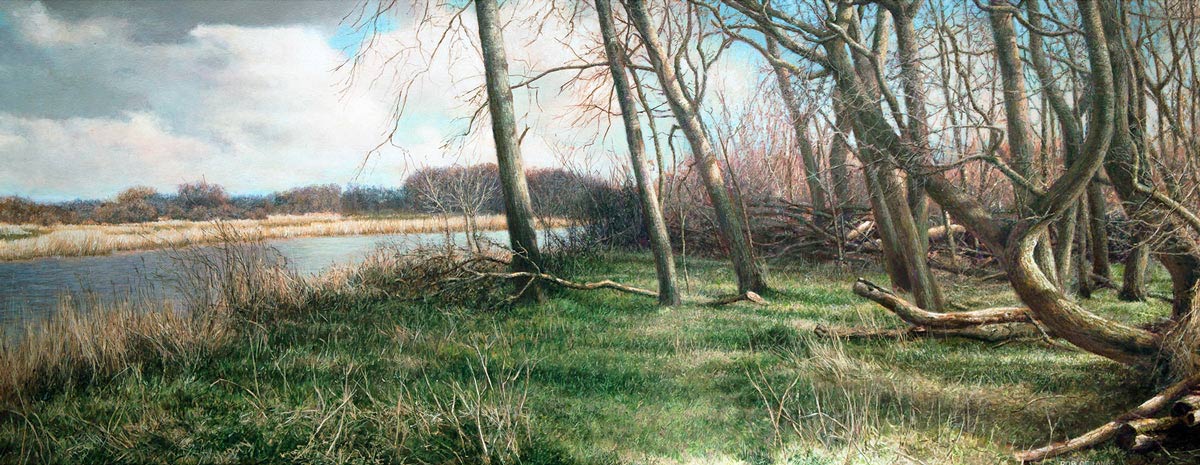 Twiske — Rob de Lange