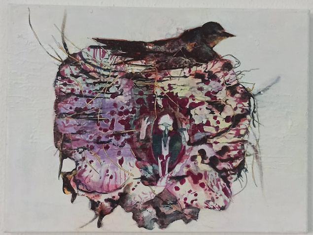 Nest 2 — Sabine Geierhos
